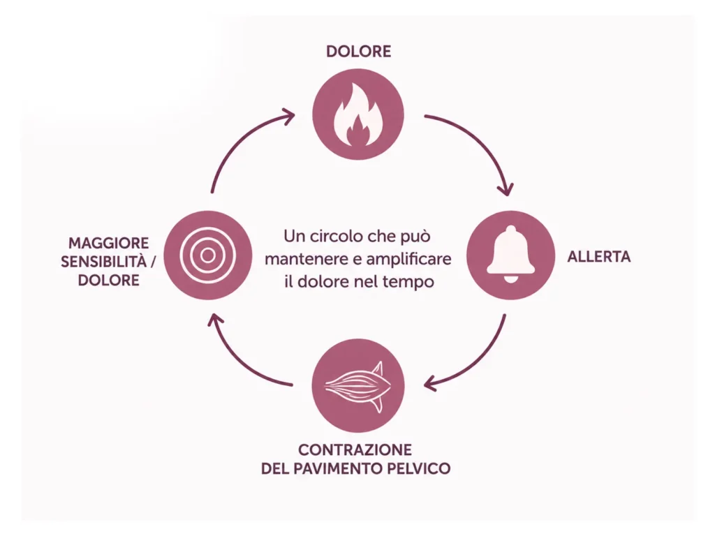 Dolore durante i rapporti: corpo, paura e sessualità 1 Vulvodinia e ipertono del pavimento pelvico